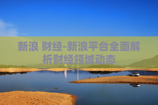 新浪 财经-新浪平台全面解析财经领域动态