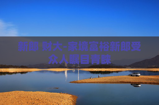 新郎 财大-家境富裕新郎受众人瞩目青睐