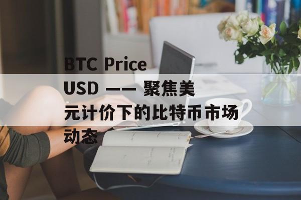 BTC Price USD —— 聚焦美元计价下的比特币市场动态
