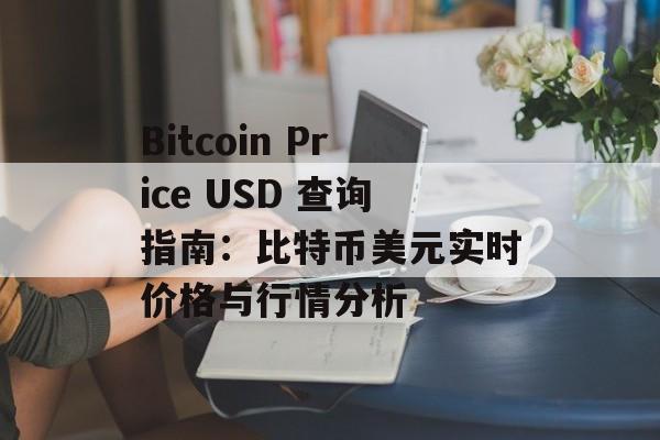 Bitcoin Price USD 查询指南：比特币美元实时价格与行情分析