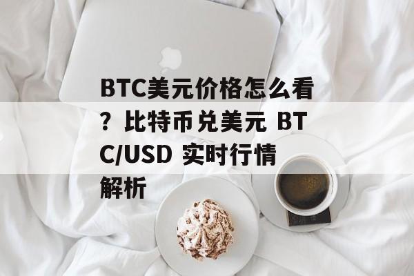 BTC美元价格怎么看？比特币兑美元 BTC/USD 实时行情解析